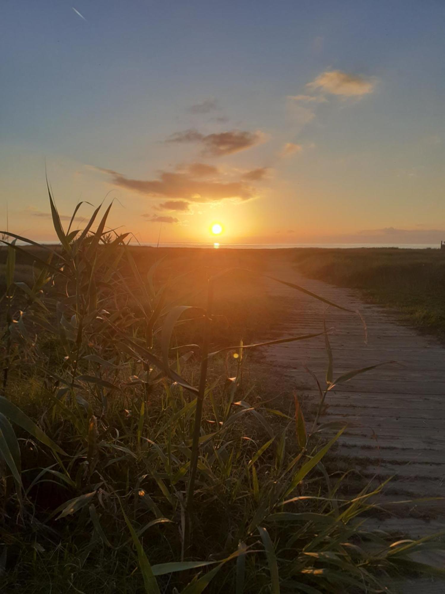 Marina di CerveteriRoma A Un Passo E Il Mare In Casaアパートメント エクステリア 写真
